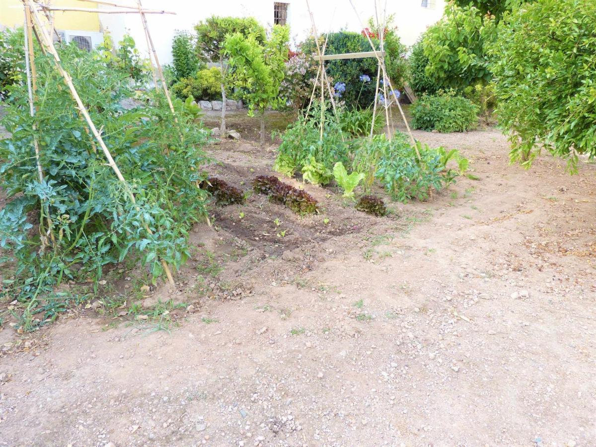 Hort De La Cinteta Villa Alcover Eksteriør billede