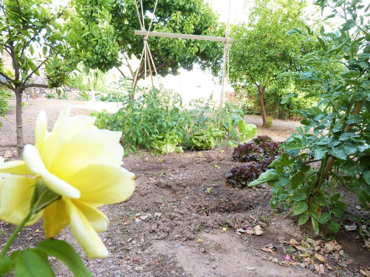 Hort De La Cinteta Villa Alcover Eksteriør billede